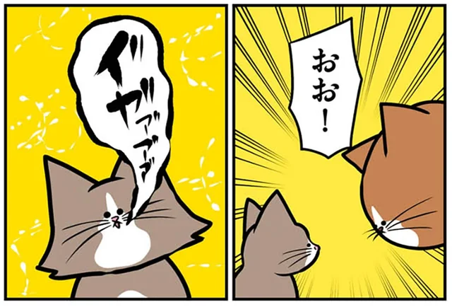 仲良くなれそう？ 先住猫と子猫のコミュニケーションが油断ならない！