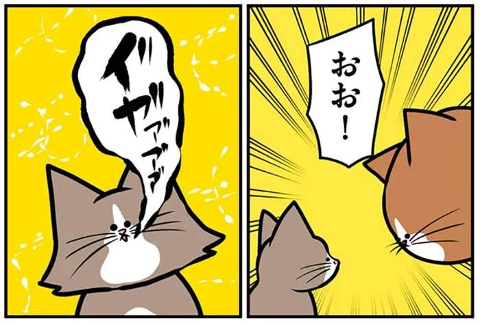 仲良くなれそう？ 先住猫と子猫のコミュニケーションが油断ならない！