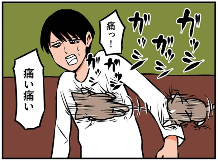 走る！体を登る！高速ペロペロ！生後3ヶ月の子猫との生活が激しすぎ