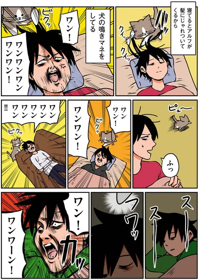 ワン！ワンワーン！