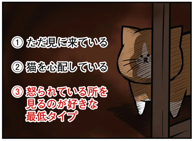 物陰から感じる視線。子猫を叱るところを先住猫が見にくる訳は？