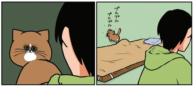 先輩猫を踏んだのは後輩猫なのに。なぜか濡れ衣を着せられた飼い主