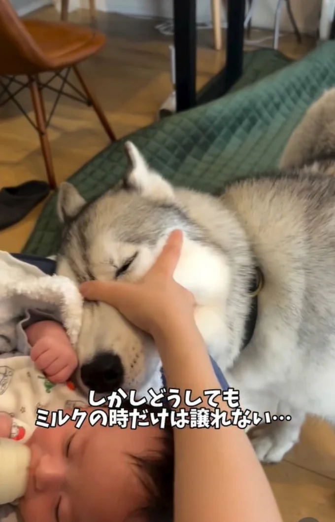 ミルクを飲んでるのが羨ましい…（⇒次へ）