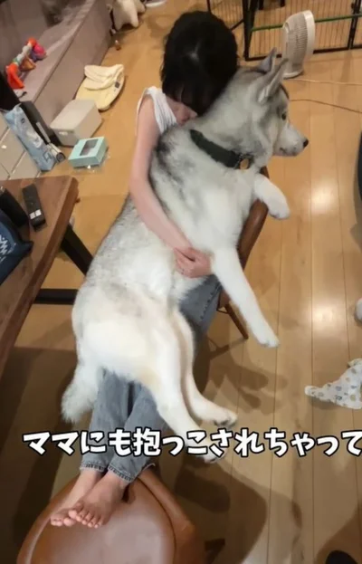 ママに抱っこしてもらう「大きな赤ちゃん」▶ふだんのスノウ君の様子（⇒次へ）