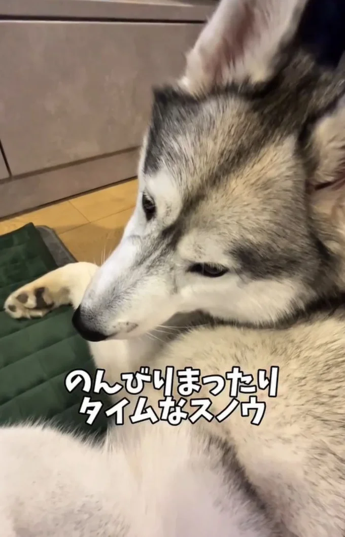 のんびりまったりタイム▶“兄弟”の心温まる様子（⇒次へ）