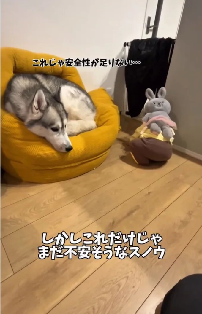 ベビ太郎君が転ばないか不安げなスノウ君▶お兄ちゃんが守るからな！（⇒次へ）