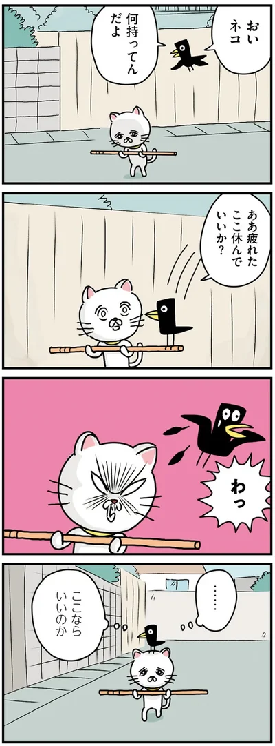 『貴重な棒を持つネコ』より