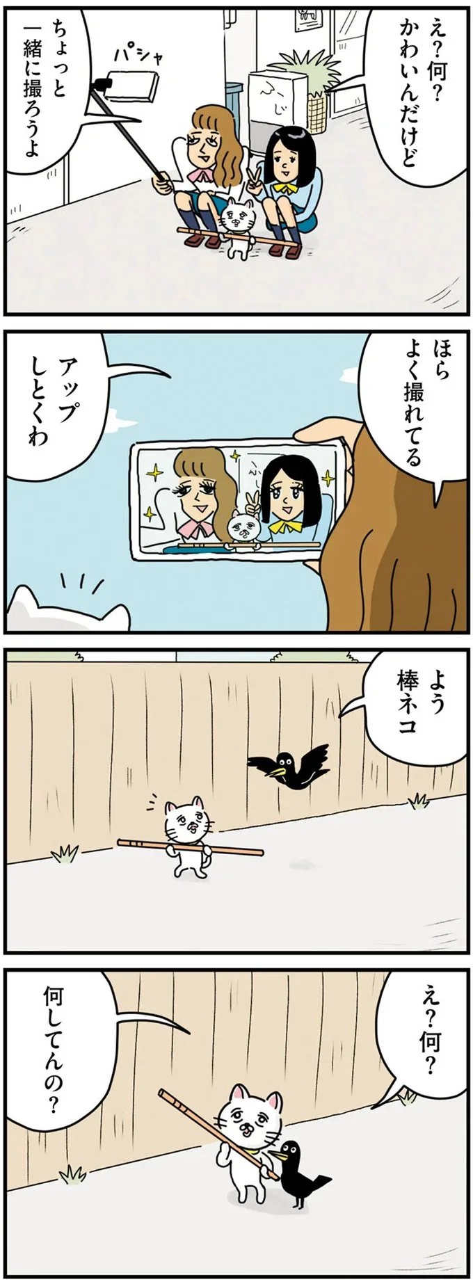 『貴重な棒を持つネコ』より