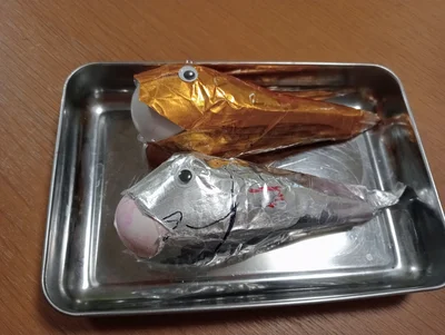 小4の娘さん作「浮袋が飛び出た深海魚」の工作