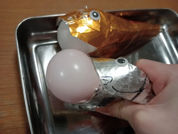 浮袋（胃袋）の風船が飛び出します…！▶こんなに膨らむ！（⇒次へ）