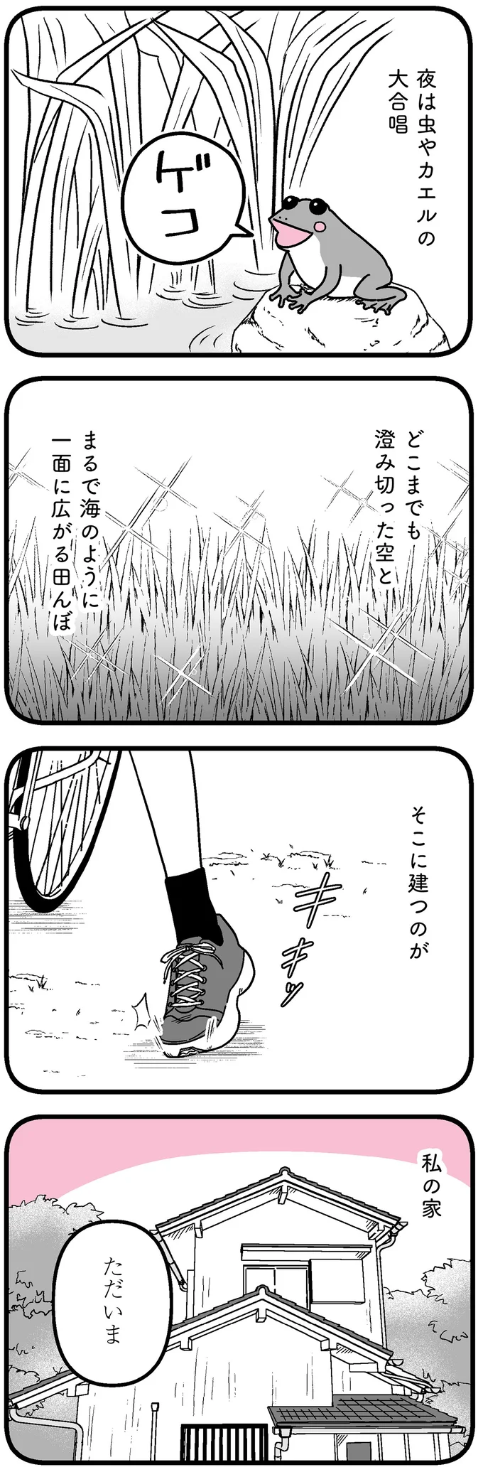 夜は虫やカエルの大合唱