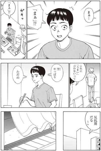 『されどふたご』より