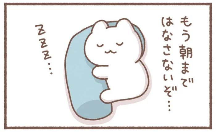 すごいフィット感の抱き枕を購入。朝まで離さないつもりだったのに