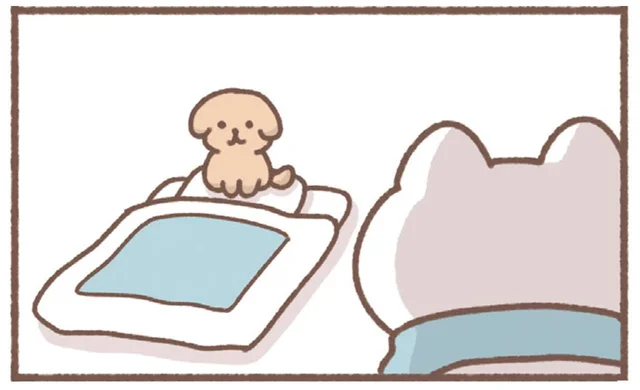 ツンデレなの？帰省中、愛想がない実家の犬がデレるとき