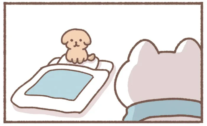 ツンデレなの？帰省中、愛想がない実家の犬がデレるとき