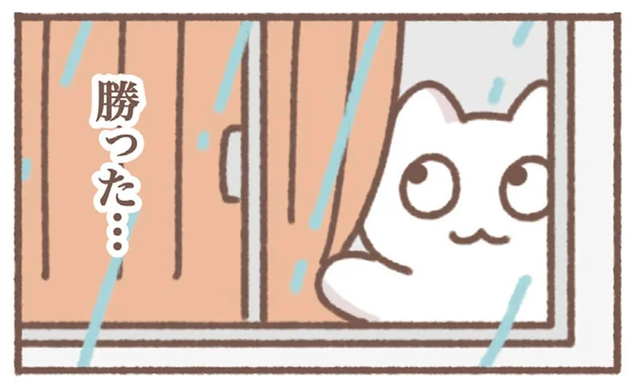 在宅勤務の朝、雨音を聞いてなんだか得した気持ちに