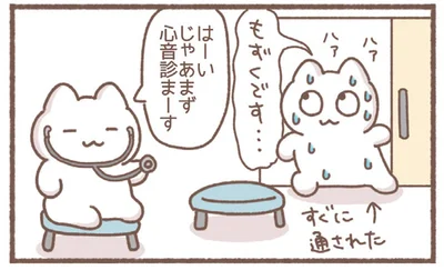 じゃあまず心音診まーす