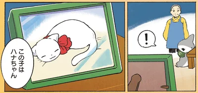 この子はハナちゃん