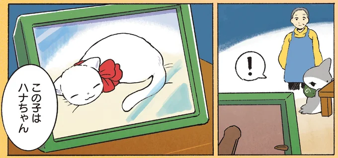 この子はハナちゃん