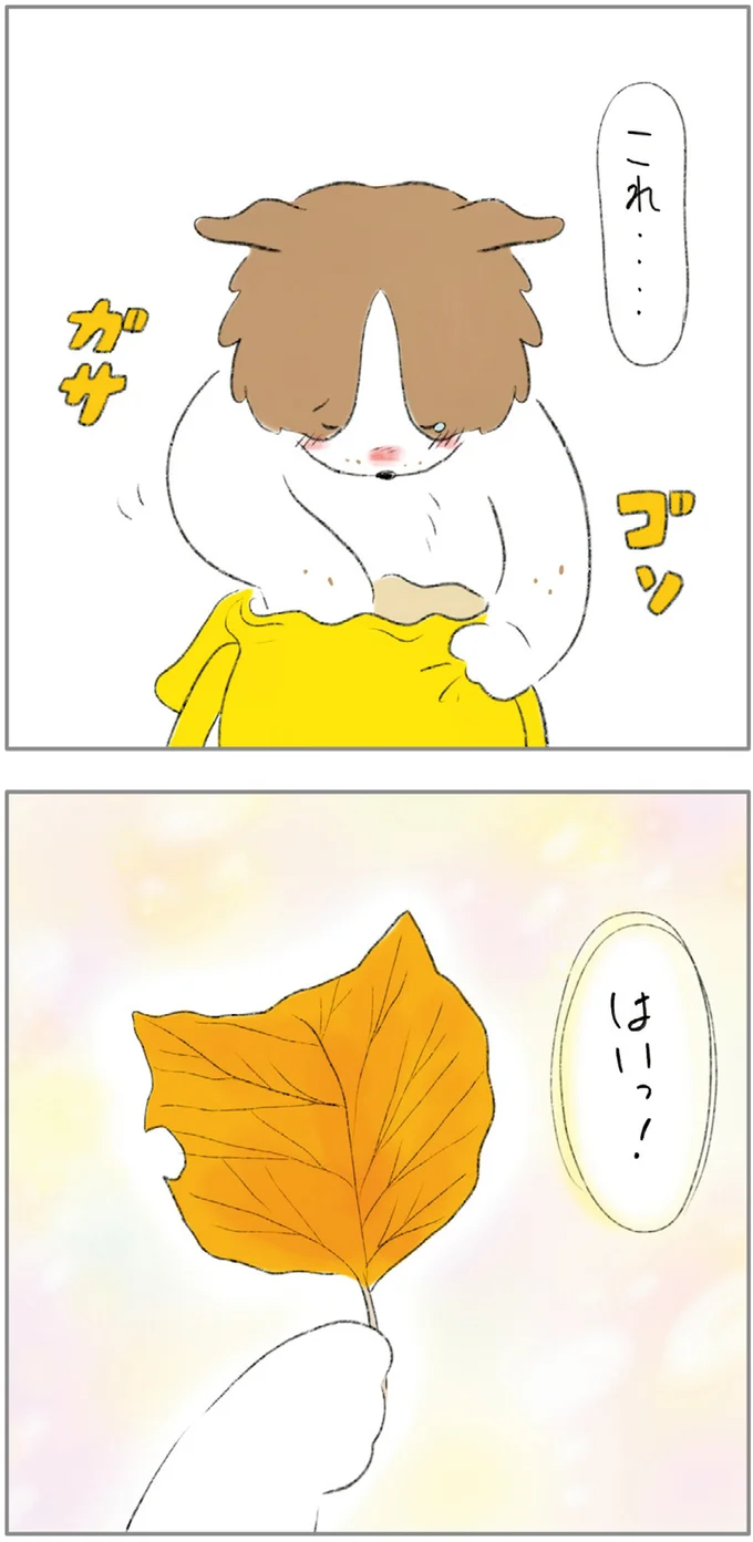 これ…はいっ！