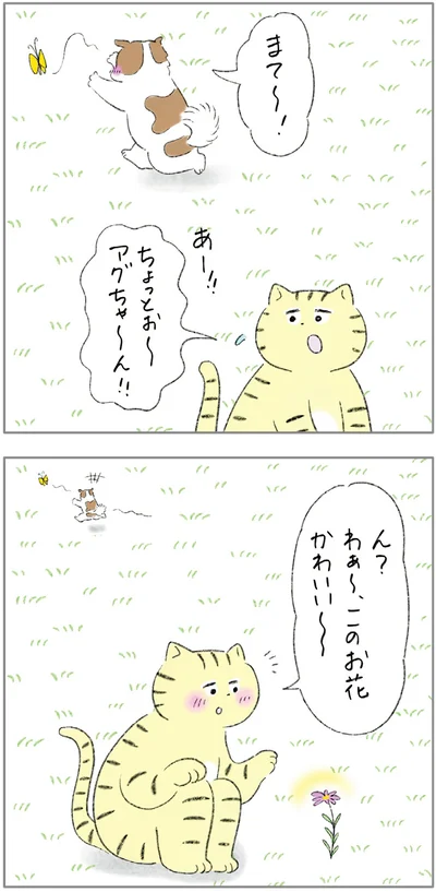 『ターとアグのしあわせ日和 元ノラ猫と元保護犬、ふたりは親友』より