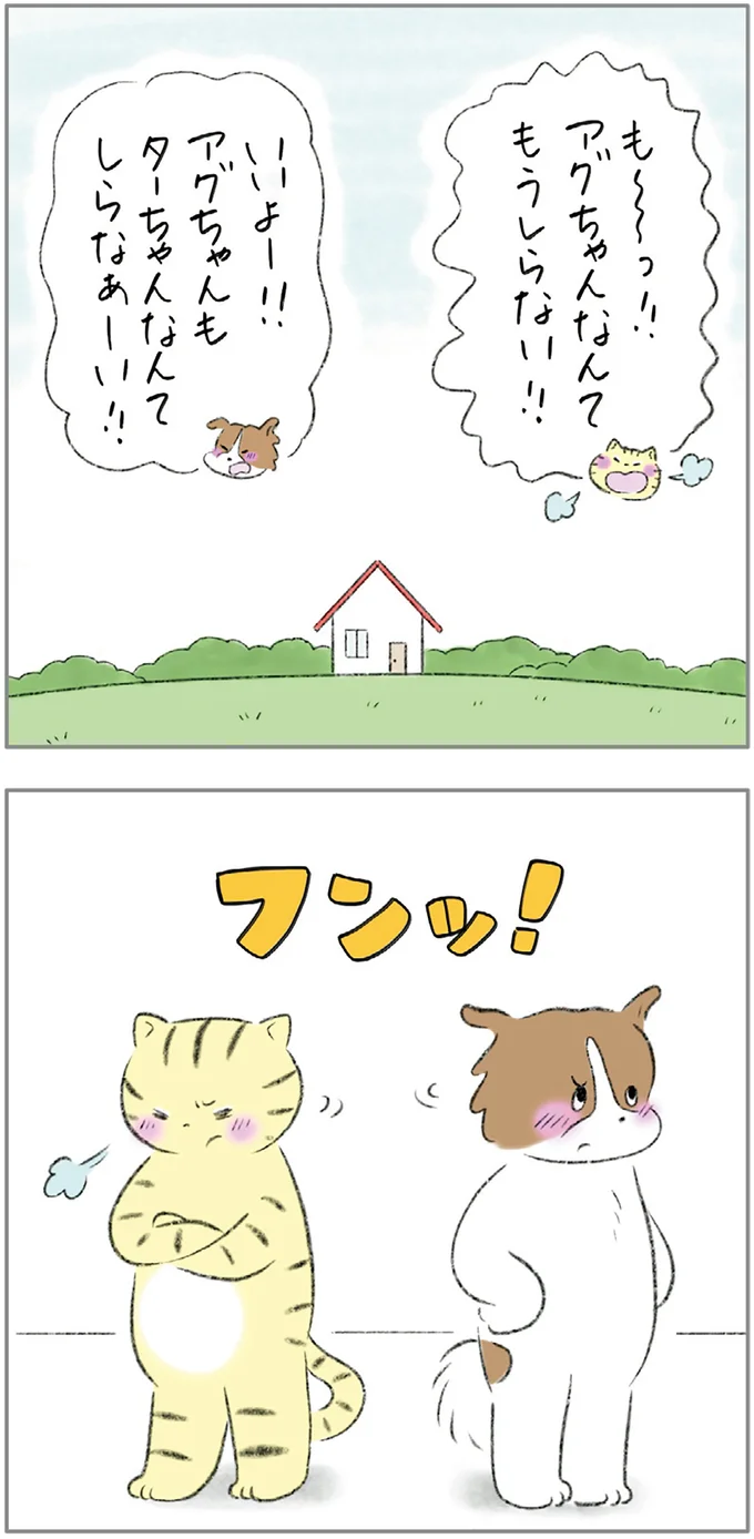 『ターとアグのしあわせ日和 元ノラ猫と元保護犬、ふたりは親友』より