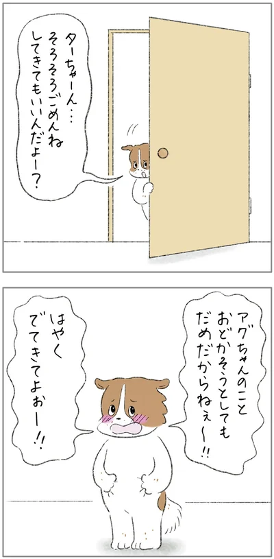 『ターとアグのしあわせ日和 元ノラ猫と元保護犬、ふたりは親友』より