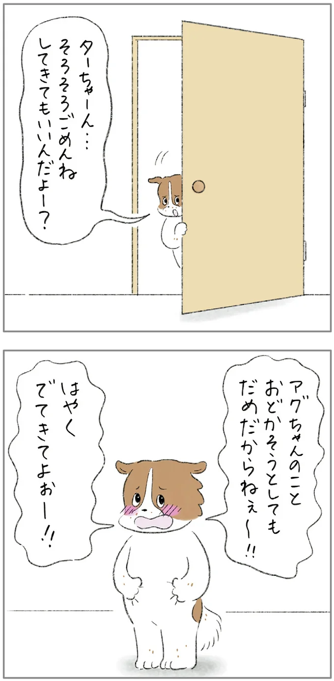 『ターとアグのしあわせ日和 元ノラ猫と元保護犬、ふたりは親友』より