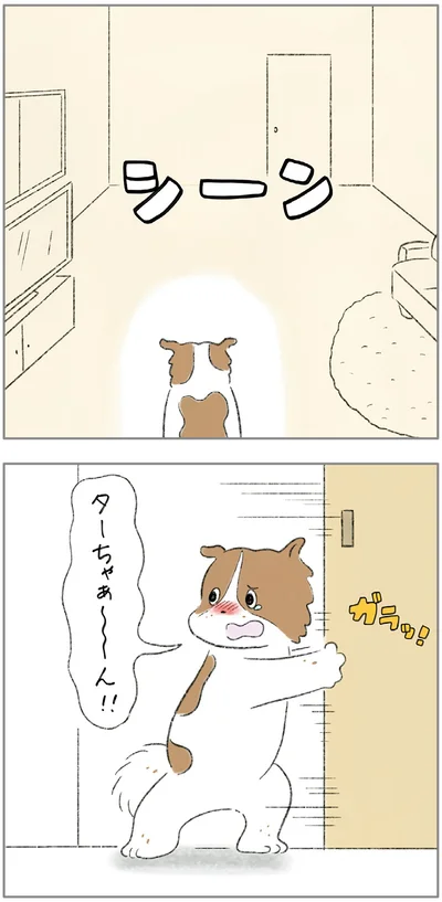 『ターとアグのしあわせ日和 元ノラ猫と元保護犬、ふたりは親友』より