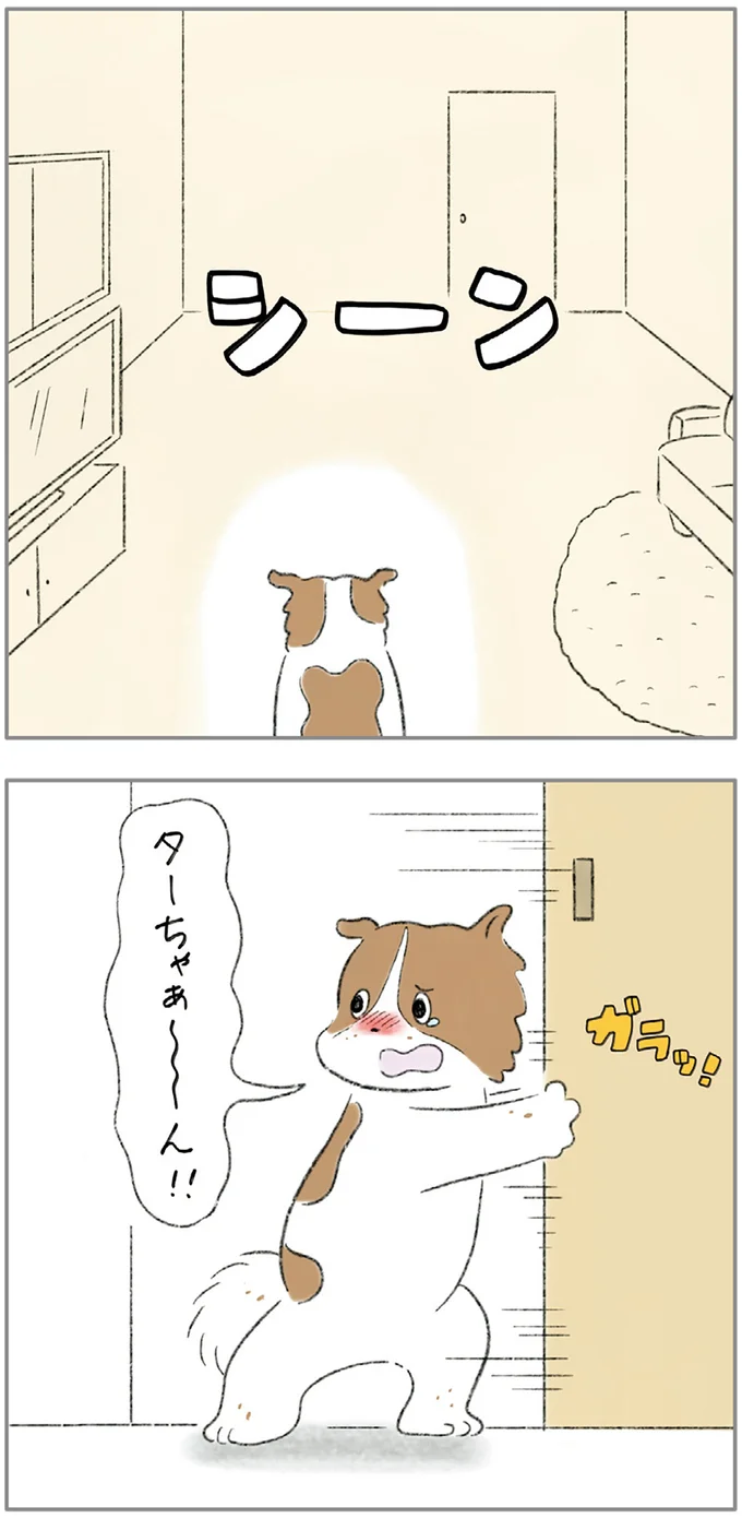 『ターとアグのしあわせ日和 元ノラ猫と元保護犬、ふたりは親友』より