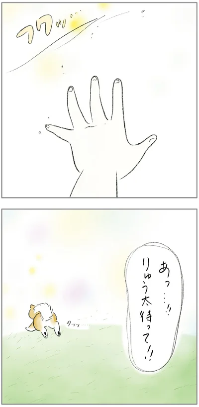 『ターとアグのしあわせ日和 元ノラ猫と元保護犬、ふたりは親友』より