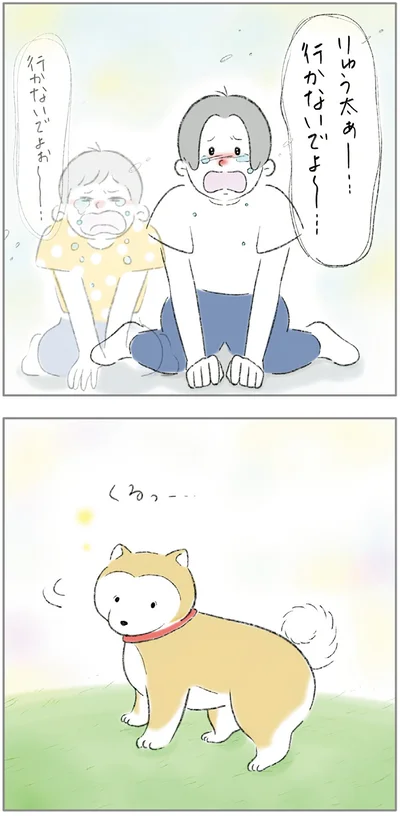 『ターとアグのしあわせ日和 元ノラ猫と元保護犬、ふたりは親友』より