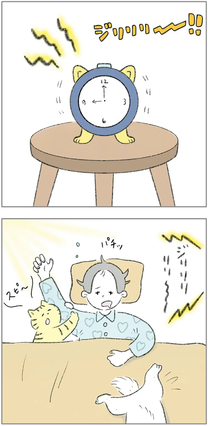 『ターとアグのしあわせ日和 元ノラ猫と元保護犬、ふたりは親友』より