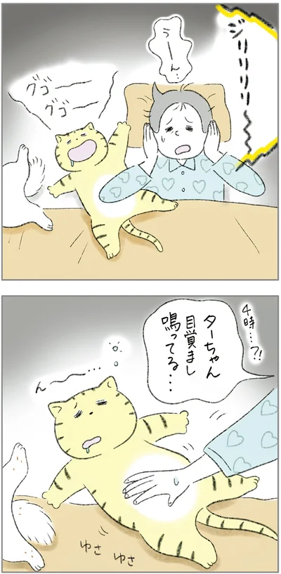 『ターとアグのしあわせ日和 元ノラ猫と元保護犬、ふたりは親友』より