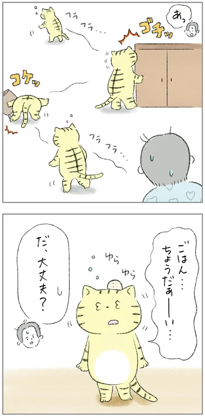 『ターとアグのしあわせ日和 元ノラ猫と元保護犬、ふたりは親友』より