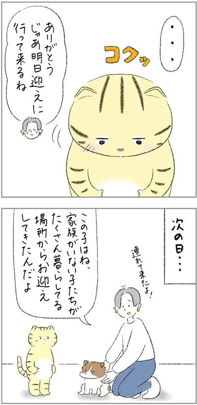 『ターとアグのしあわせ日和 元ノラ猫と元保護犬、ふたりは親友』より