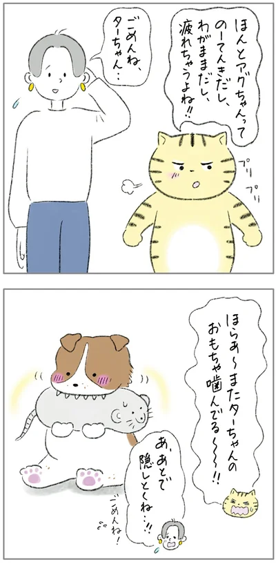 『ターとアグのしあわせ日和 元ノラ猫と元保護犬、ふたりは親友』より
