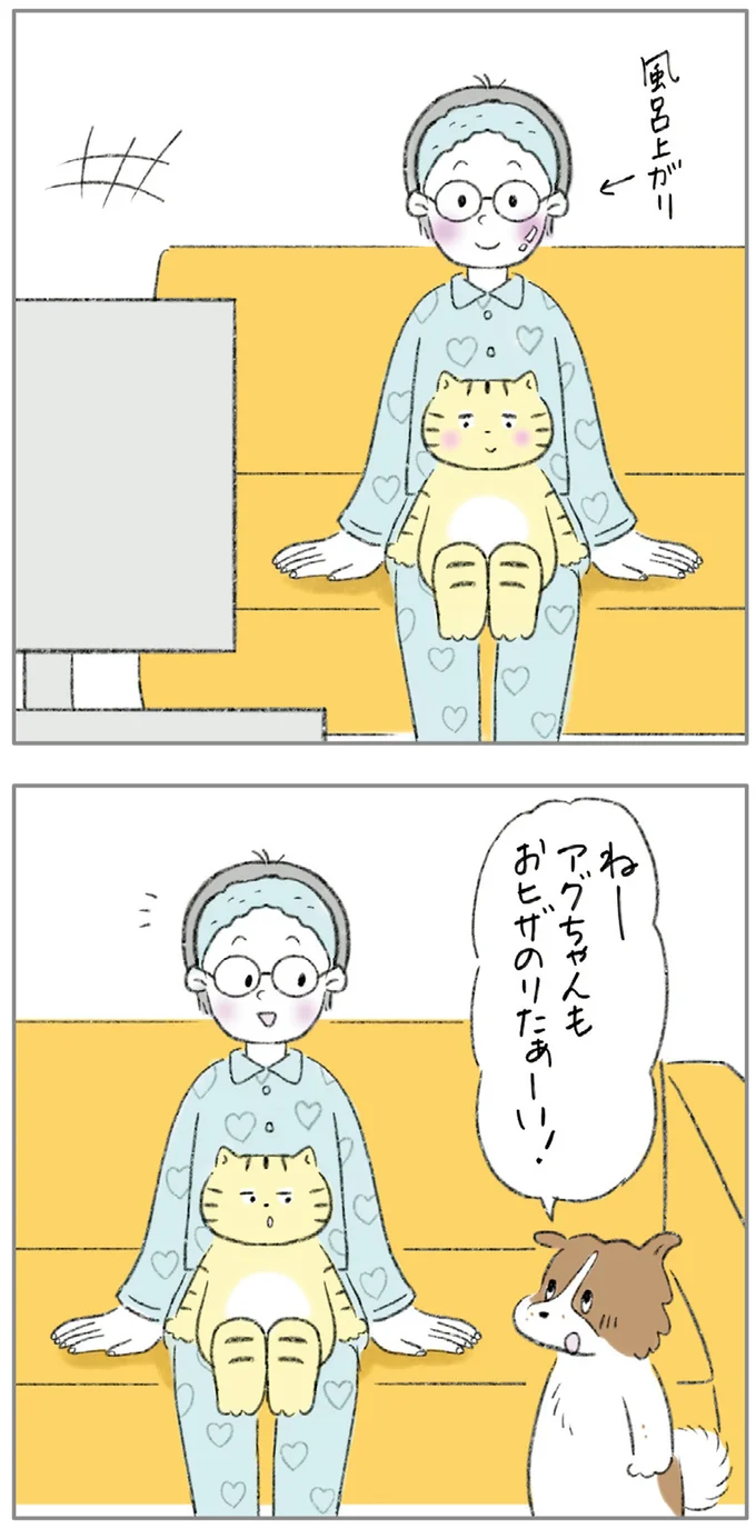 『ターとアグのしあわせ日和 元ノラ猫と元保護犬、ふたりは親友』より