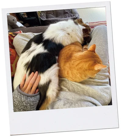 『ターとアグのしあわせ日和 元ノラ猫と元保護犬、ふたりは親友』より