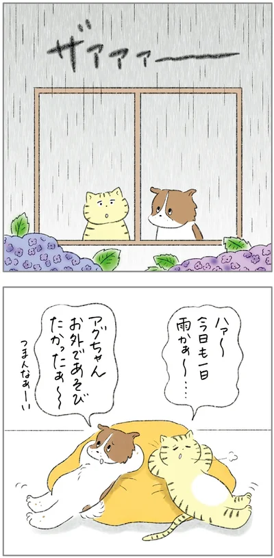 『ターとアグのしあわせ日和 元ノラ猫と元保護犬、ふたりは親友』より