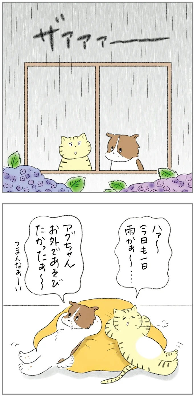 『ターとアグのしあわせ日和 元ノラ猫と元保護犬、ふたりは親友』より