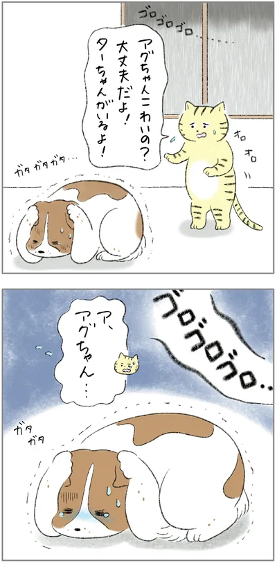 『ターとアグのしあわせ日和 元ノラ猫と元保護犬、ふたりは親友』より