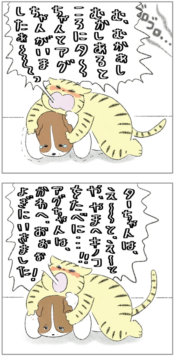 『ターとアグのしあわせ日和 元ノラ猫と元保護犬、ふたりは親友』より