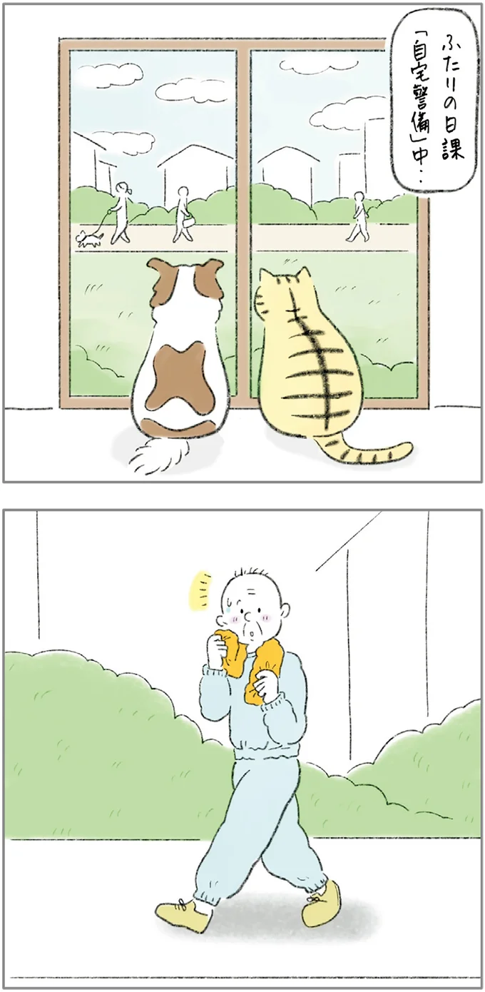 『ターとアグのしあわせ日和 元ノラ猫と元保護犬、ふたりは親友』より