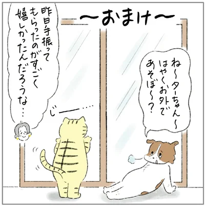 『ターとアグのしあわせ日和 元ノラ猫と元保護犬、ふたりは親友』より