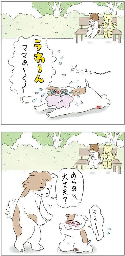 『ターとアグのしあわせ日和 元ノラ猫と元保護犬、ふたりは親友』より