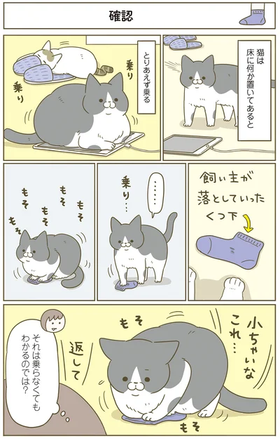 『うちの猫がまた変なことしてる。７』より