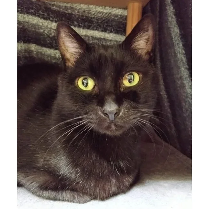 話題となった実陽(みはる)ちゃんの普段の姿