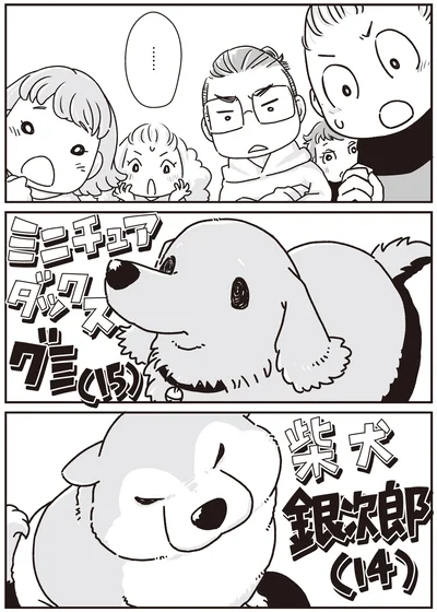 2匹の犬