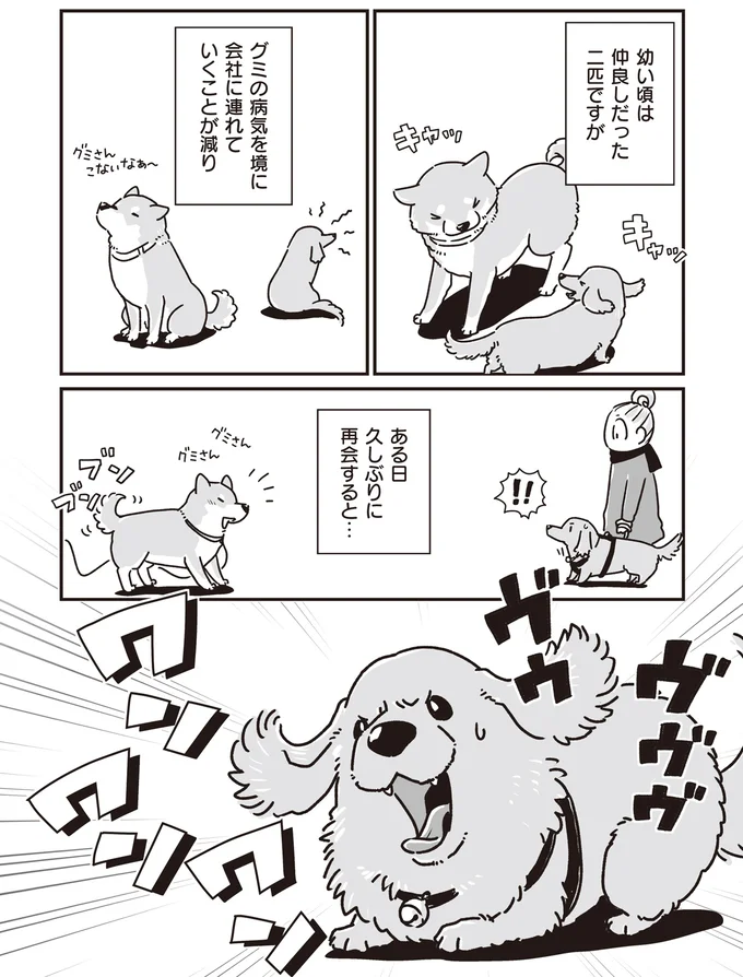 仲良しだった2匹ですが